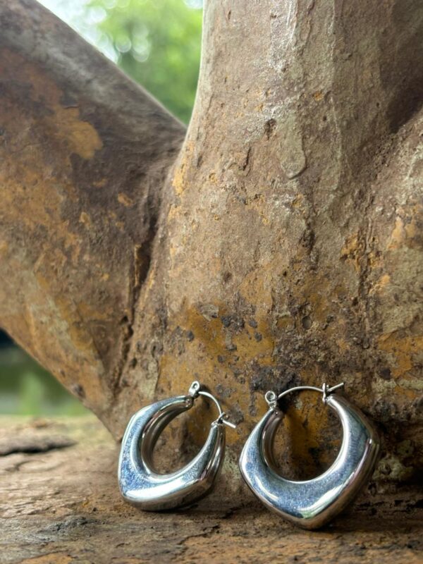 Lunar Loop Hoops